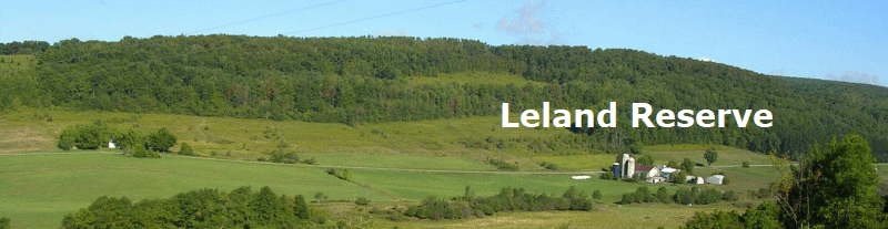 Leland Reserve