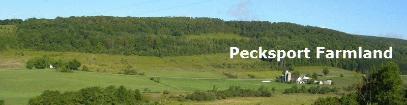 Pecksport Farmland