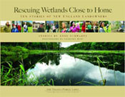 Cover of Rescuing Wetlands
