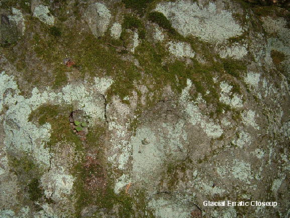 25b Glacial Erratic Closeup